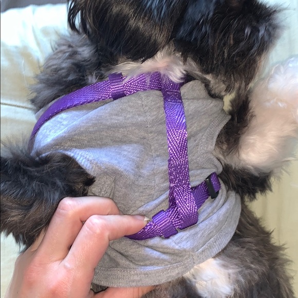 Dog Bundle 💜 - Picture 7 of 8